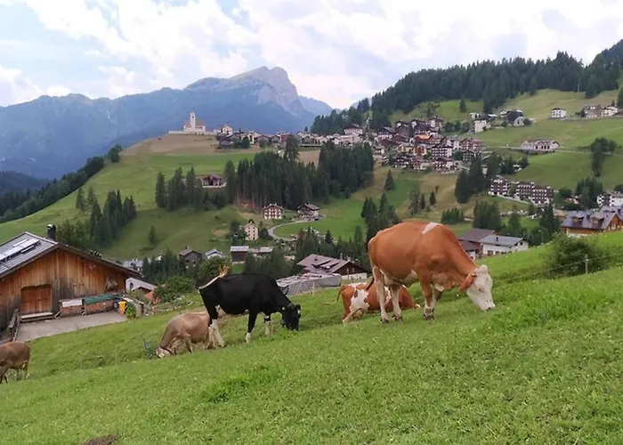 La Majon Apartman Colle Santa Lucia